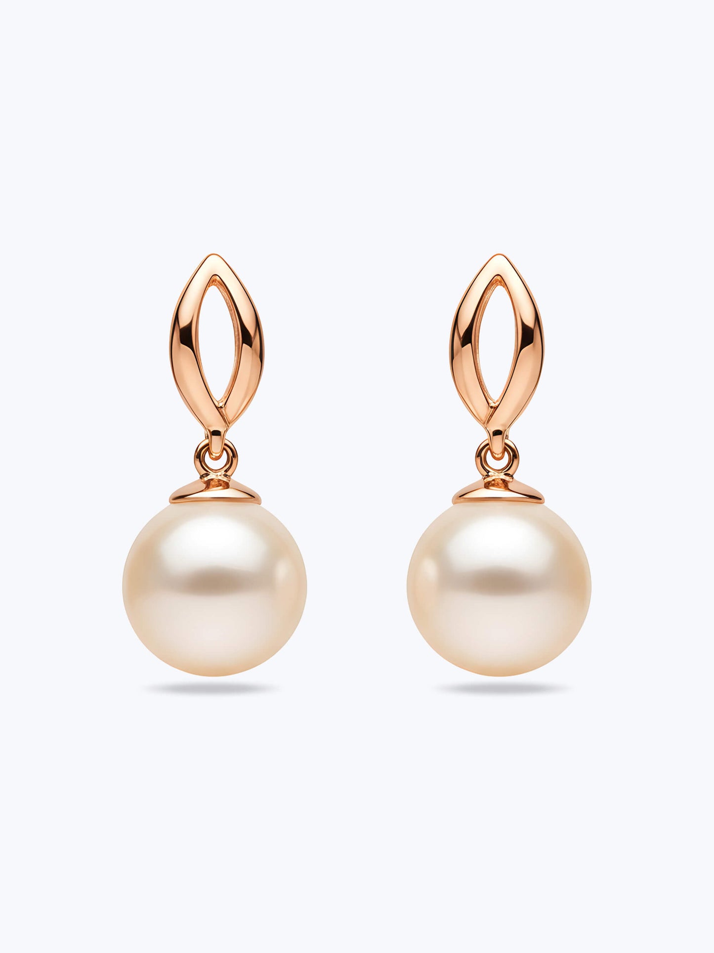 Starlit Grace Earrings