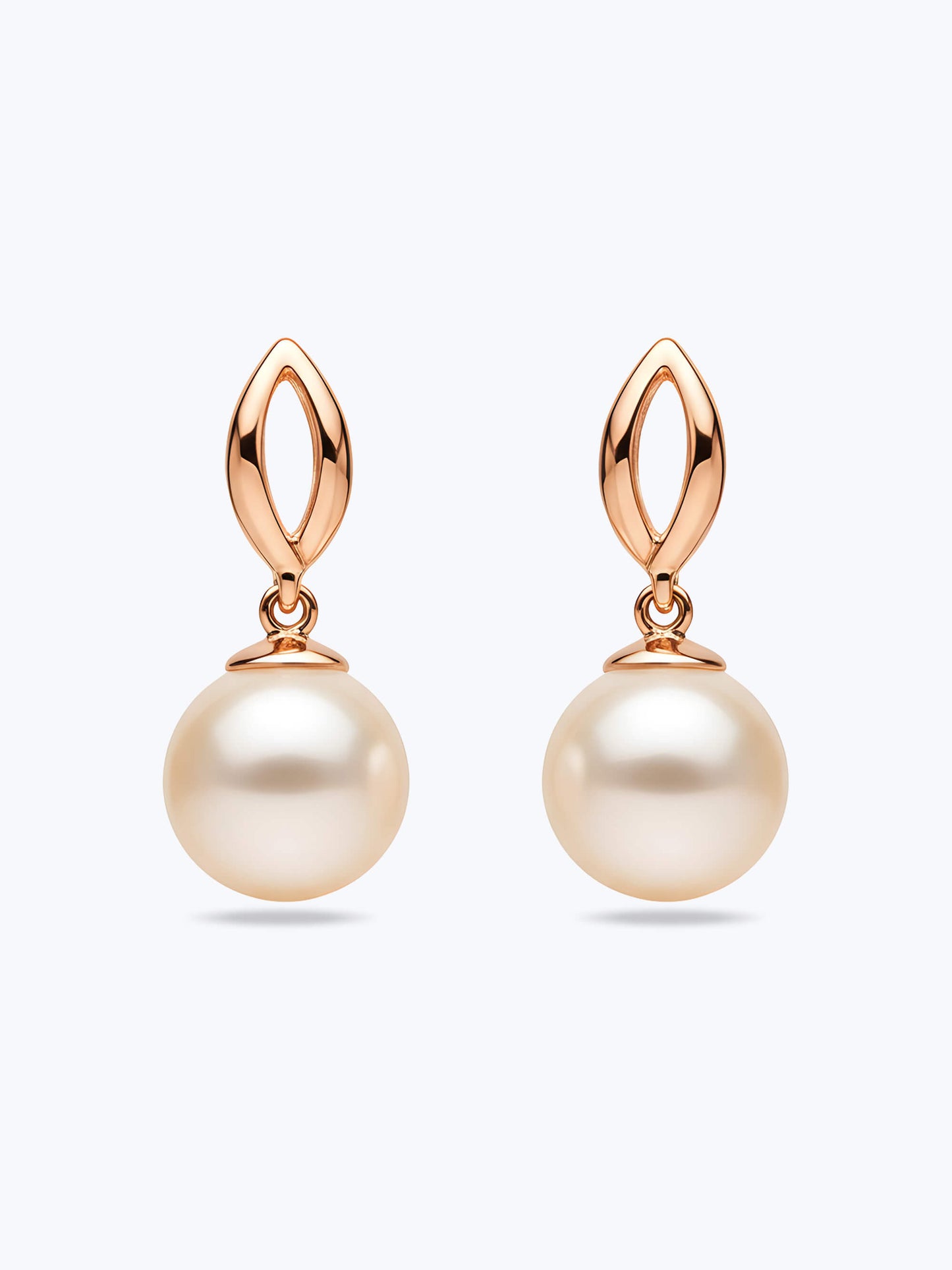 Starlit Grace Earrings