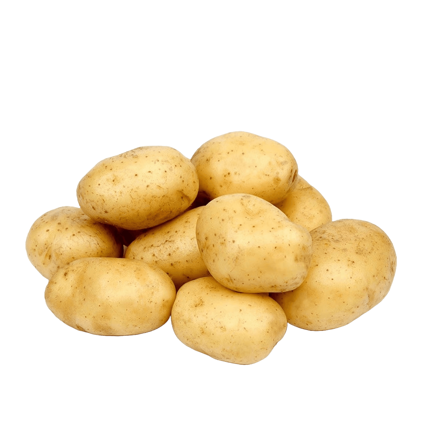 Potato