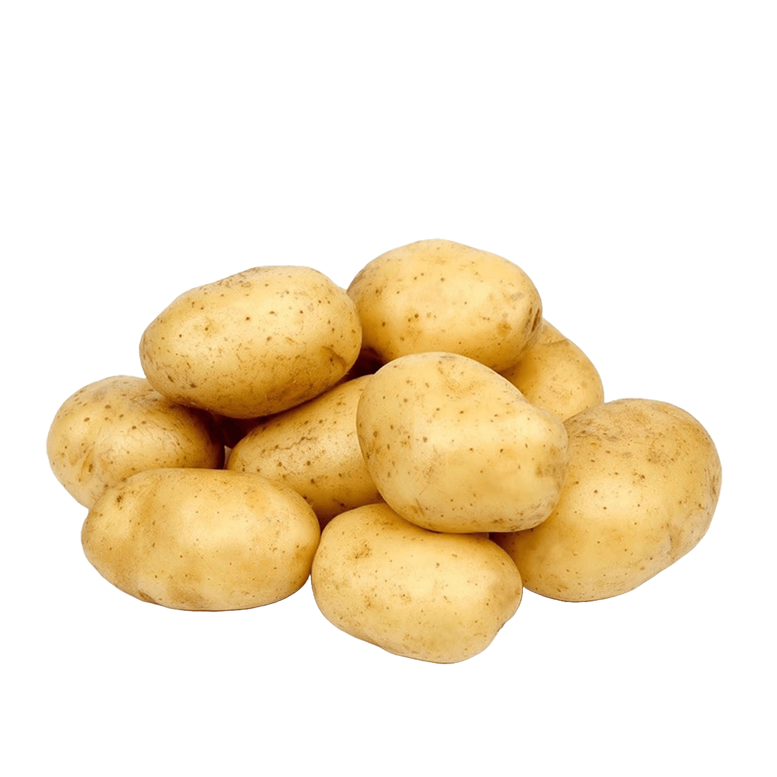 Potato