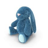 Soft Blue Bunny