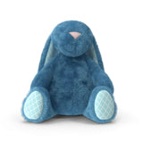 Soft Blue Bunny